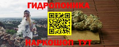 apvp Вышний Волочёк
