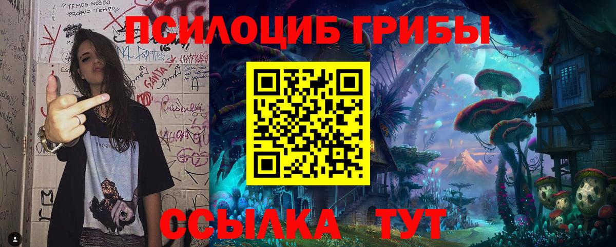 Димитровград  Галлюциногенные грибы Magic Shrooms  Вход с VPN 