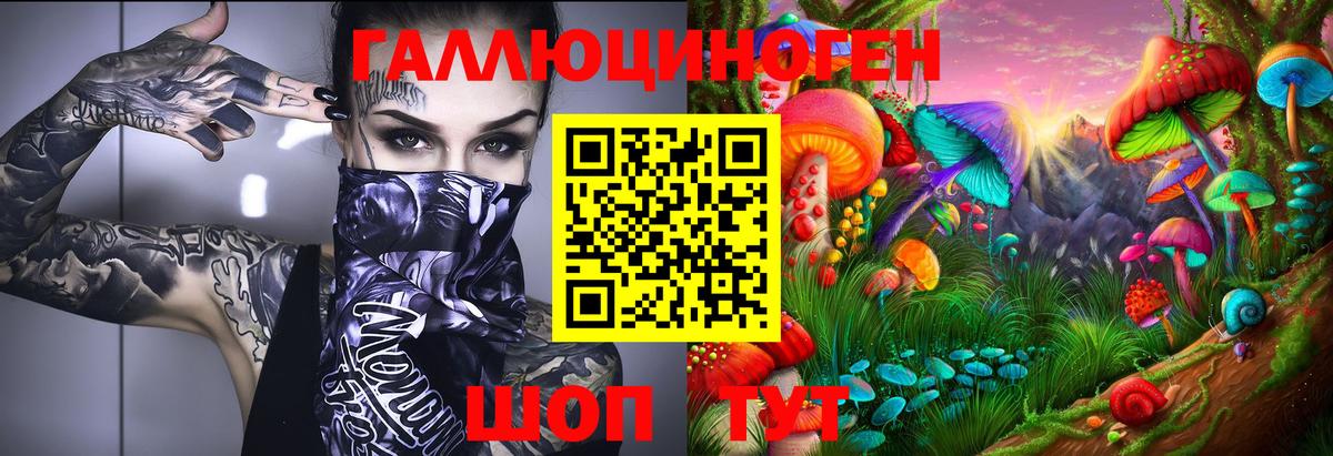 Галлюциногенные грибы GOLDEN TEACHER Димитровград